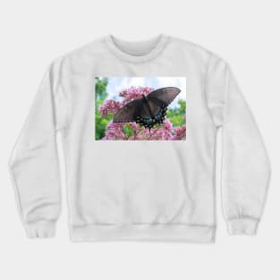 Apollos Butterfly Crewneck Sweatshirt